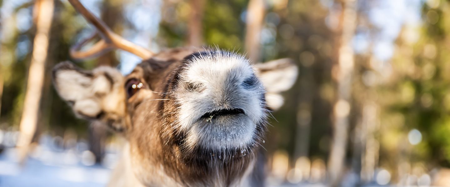 © Klaus Hansen Fotografie